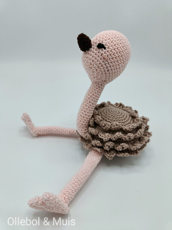 Luis, the ostrich