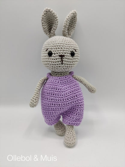 Spring the Bunny