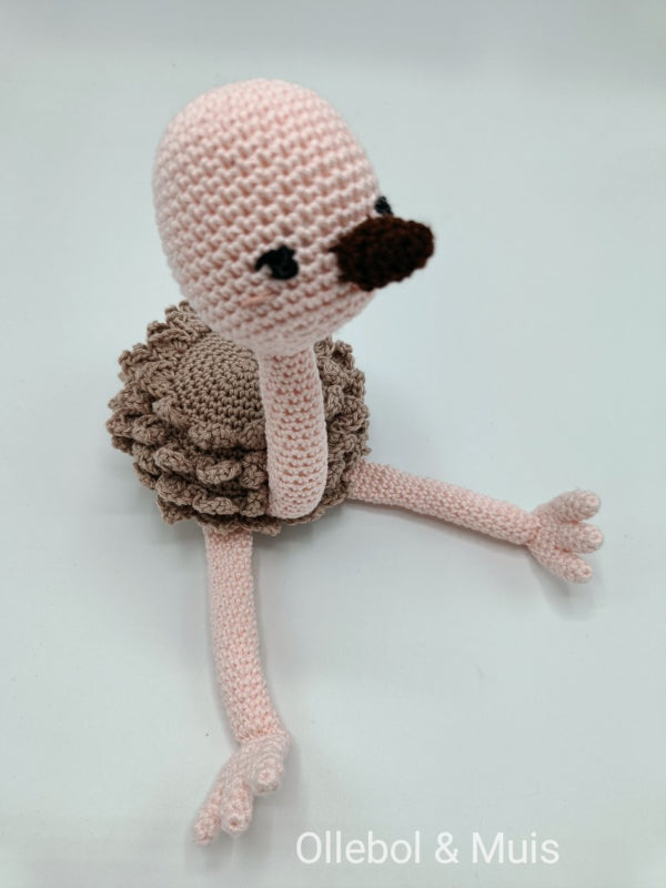 Luis, the ostrich