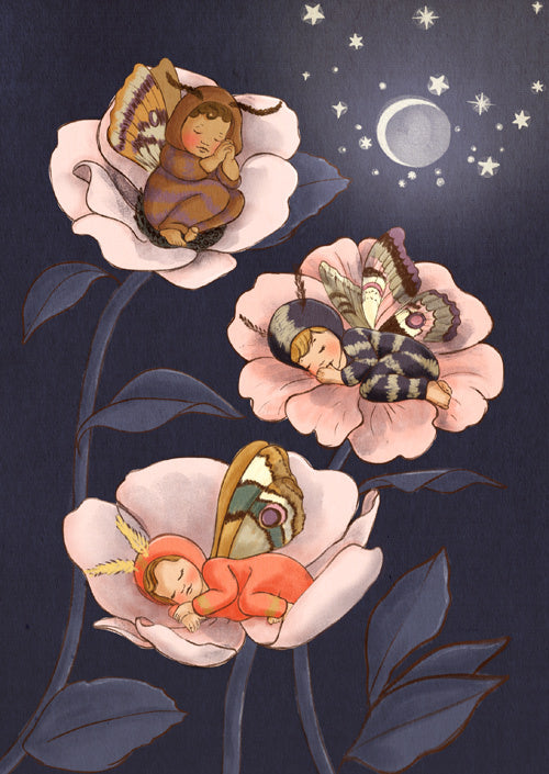 Belle &amp; Boo ansichtkaart Moth Babies